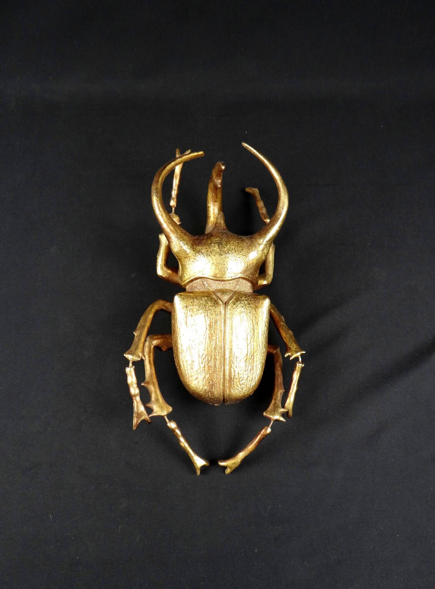 Contemporary style golden scarab wall sculpture in resin and metal
