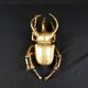 Contemporary style golden scarab wall sculpture in resin and metal