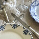 9 mismatched blue ironstone plates