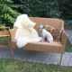 Banquette en bambou, rotin & osier adulte vintage