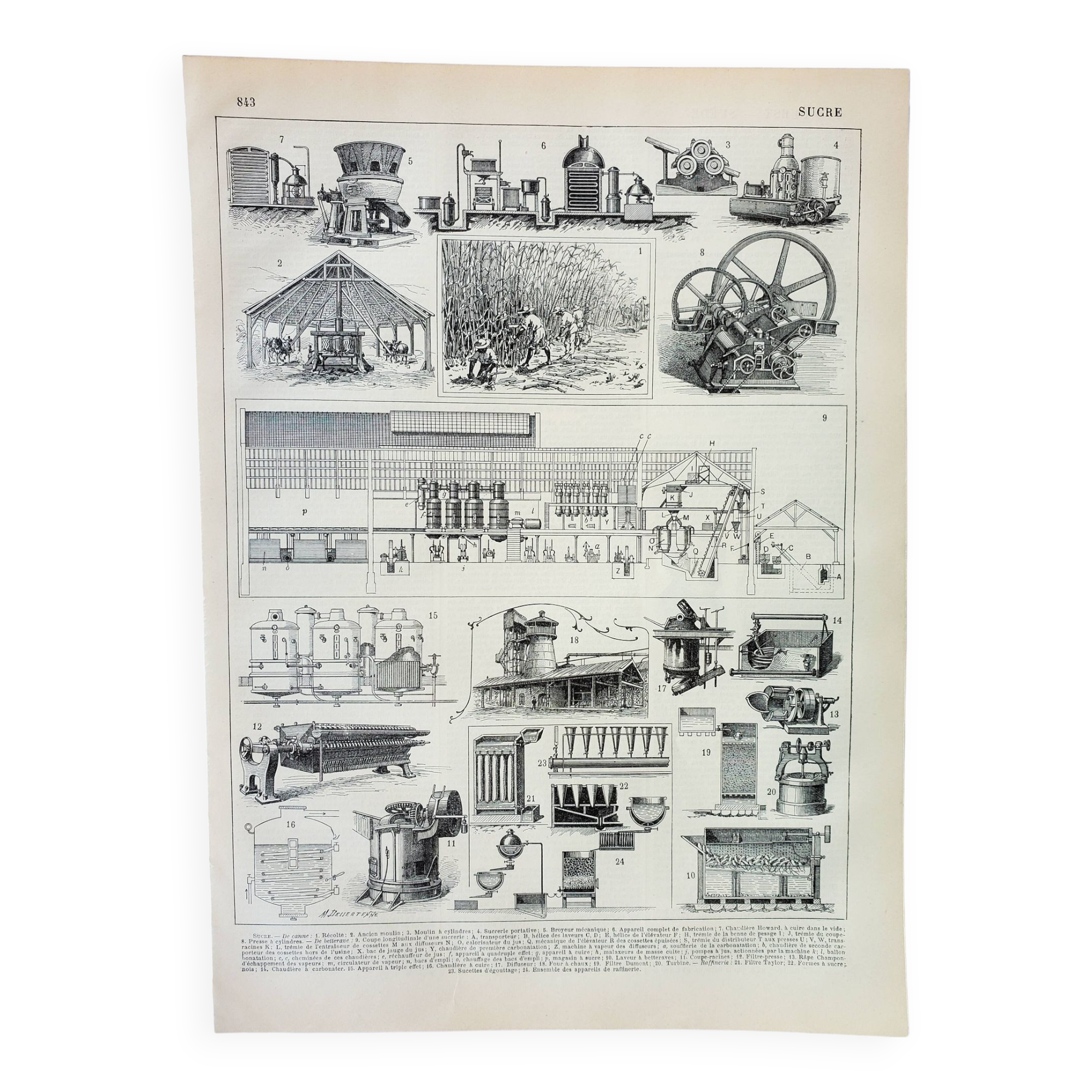 Gravure ancienne 1898, La fabrication du sucre, canne • Lithographie, Planche originale