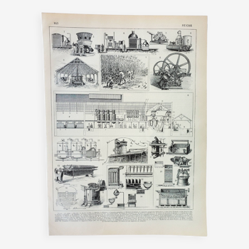 Gravure ancienne 1898, La fabrication du sucre, canne • Lithographie, Planche originale