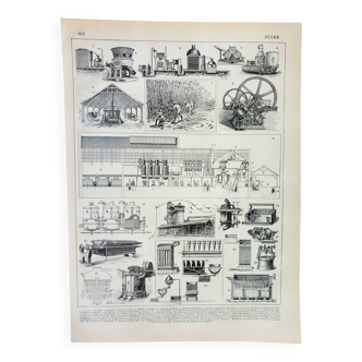 Gravure ancienne 1898, La fabrication du sucre, canne • Lithographie, Planche originale