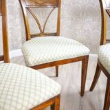 Vintage Elm Chairs in White Upholstery, 1950s, Set of 5