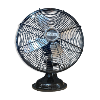 Fan Taifun year 70