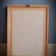 Rose lithograph frame Rosa Sulfura