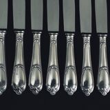 12 ercuis home table knives
