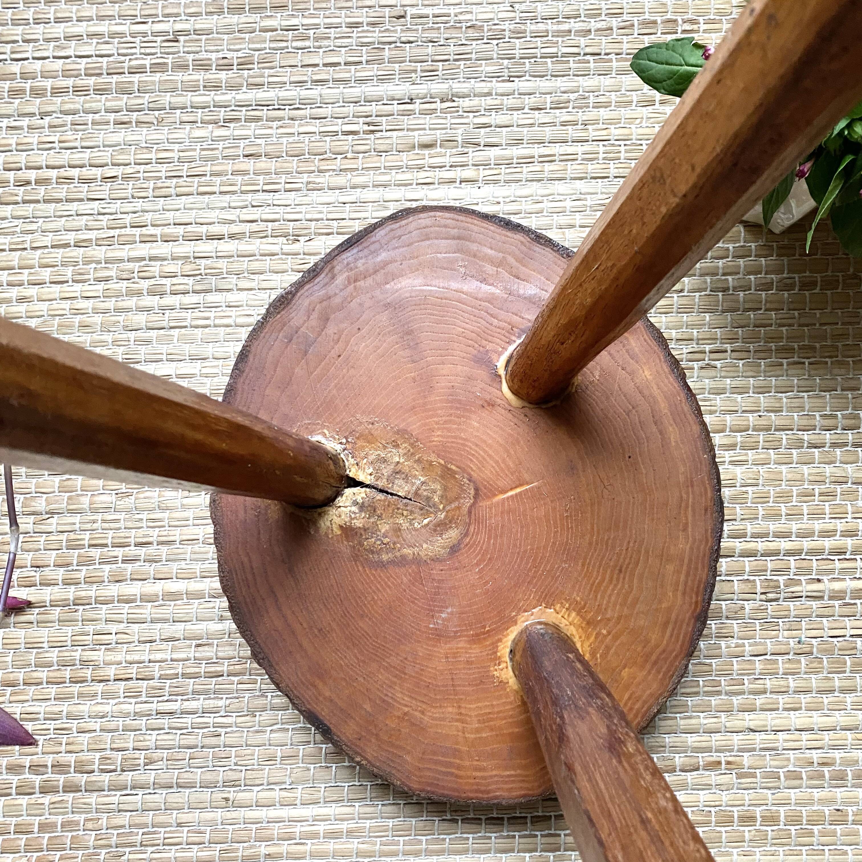 Tripod stool or plant holder