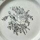 Lunéville porcelain x6