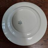 Jules Vieillard Bordeaux 19th century ironstone star service dish