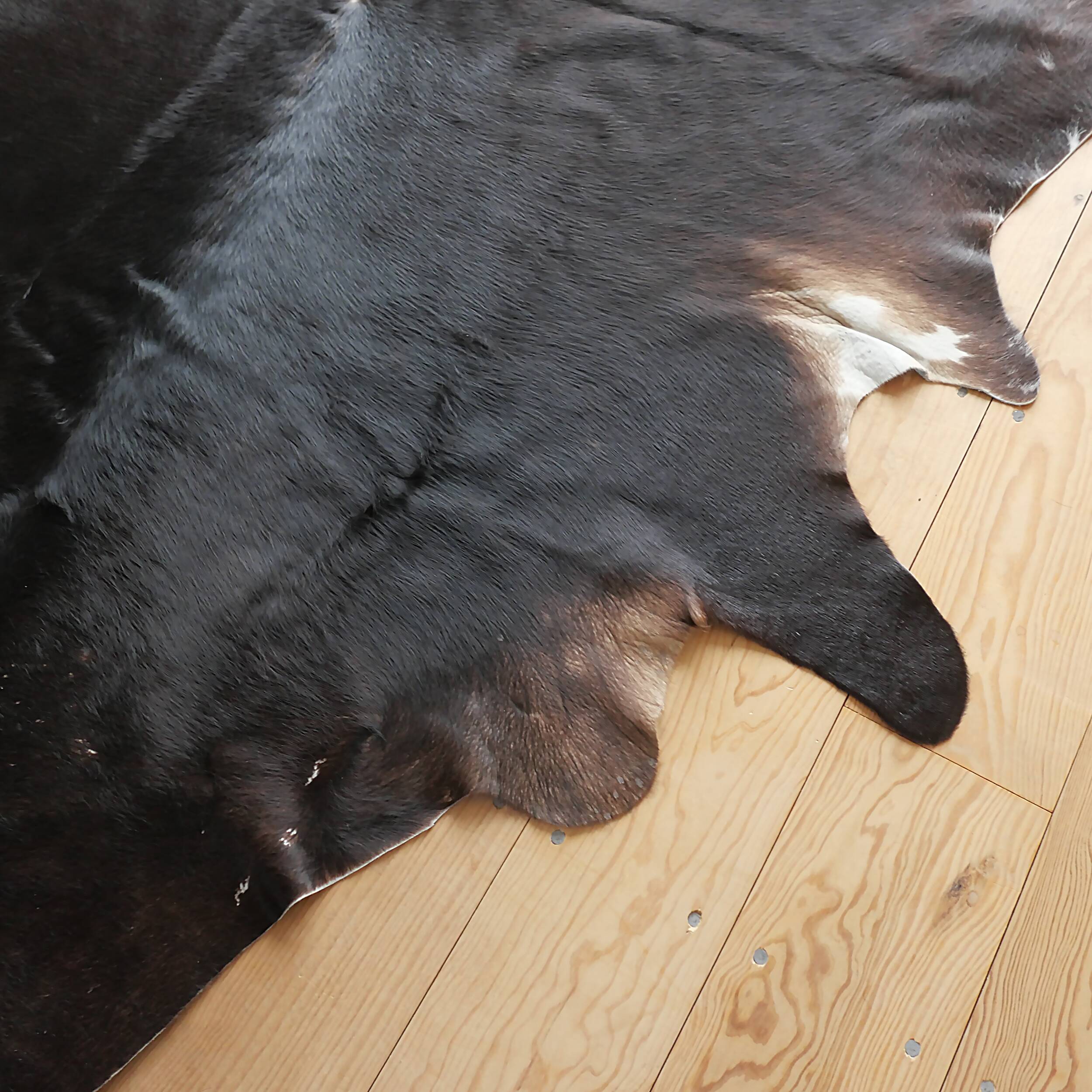 Genuine cowhide living room rug, vintage design, 1970s