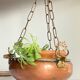 Vintage 3 buffalo hanging planter