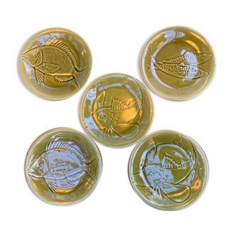 Series of 5 plates Fish Proceram