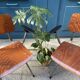 Friso Kramer wooden chair