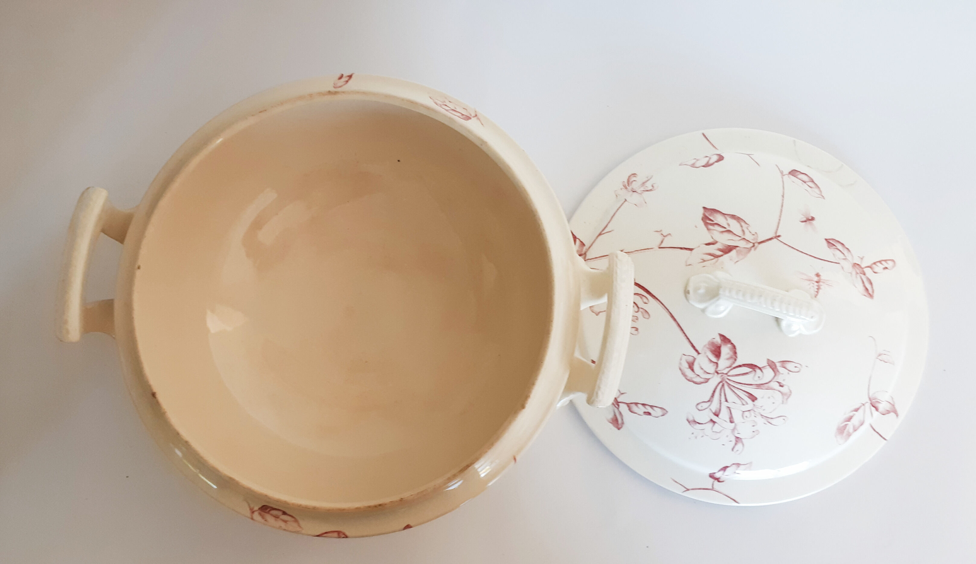 Soup pattern "Chevrefeuille" iron earth, Salins, porcelain