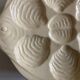 set of 6 oyster plates in ivory Gien earthenware 1960