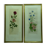Pair of ancient lithographs of signed floral engravings to be identified