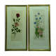 Paire d'anciennes lithographies de gravures florales signées à identifier