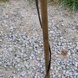 Floor lamp of the 70s in gilded brass lacquered beige metal and brown plastic 2 spots