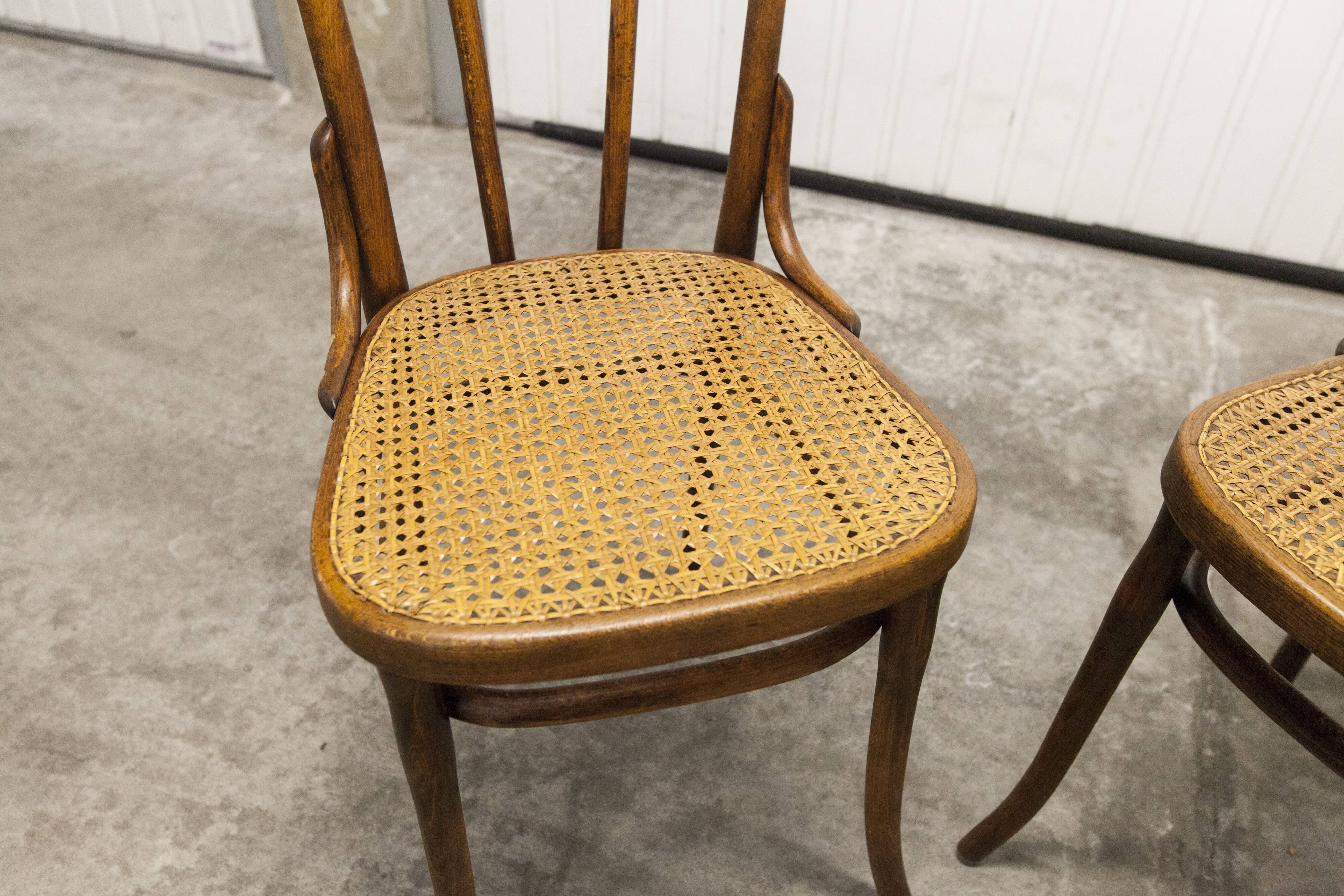 Pair of chairs bistrot Thonet Austria 1900 canning stamped