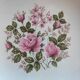 Round hollow dish Gien