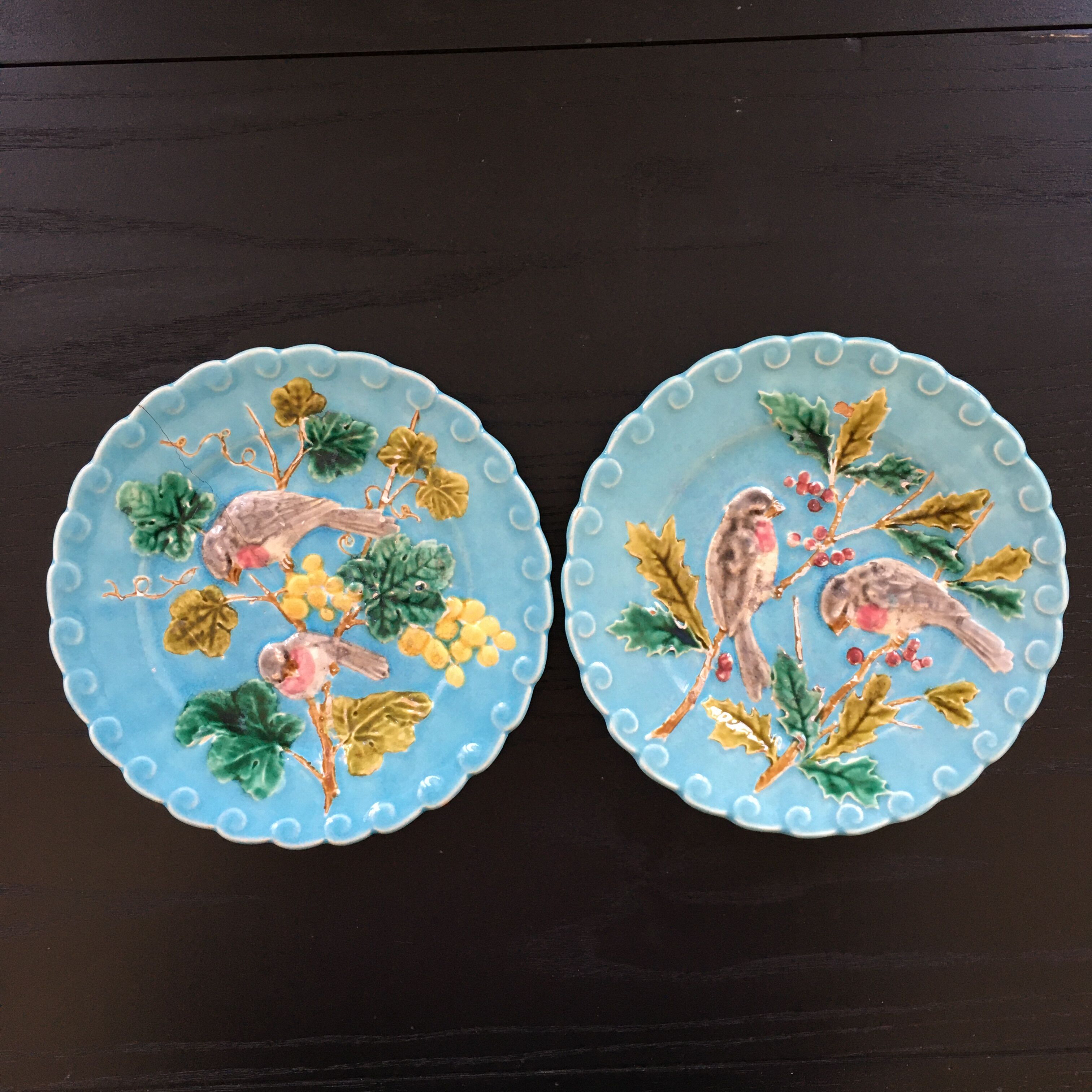 Pair of plates dabbling birds