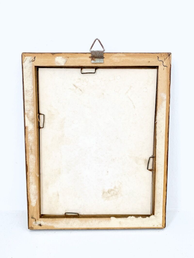 Set of three ornithological frames