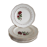 6 flat plates pink pattern