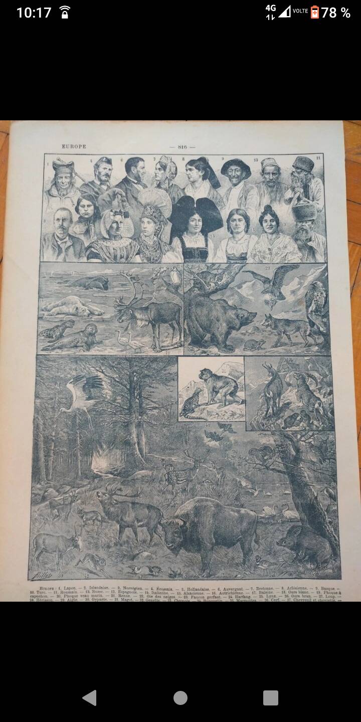 Old geographical map of Europe Larousse