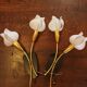 Two pairs of 1960s Tulip wall sconces