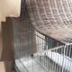 Cage à oiseau en fer et osier