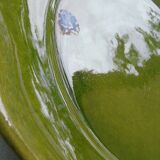 6 flat plates green BIOT