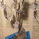 1 crystal prism wall light with 2 lights. Brass frame