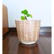 Cache pot Frankton vintage