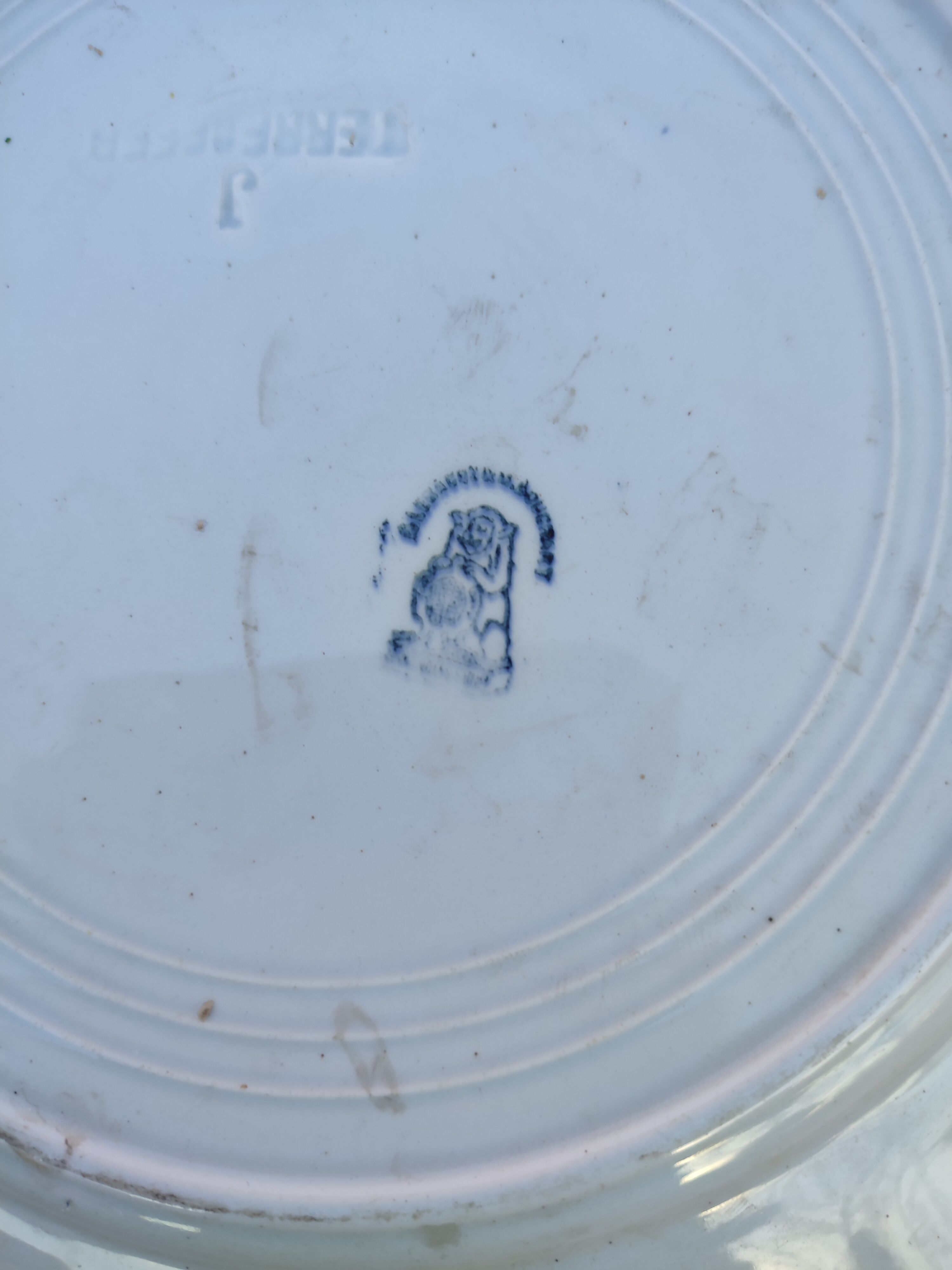Antique ironstone plate