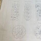 Architectural drawing 1857, glazed wood frame