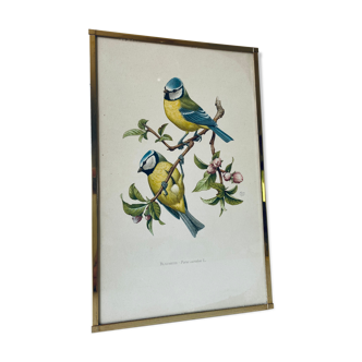 Lithography ancient