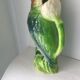 Parrot pitcher in Slip