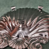 Empty pocket or tray with chrome shell fruit