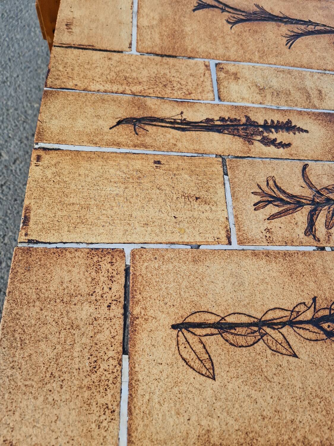 Vintage coffee table by Roger Capron, herbarium model