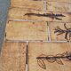 Vintage coffee table by Roger Capron, herbarium model