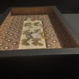 Natural history entomology framework insects aphaeninae sp.