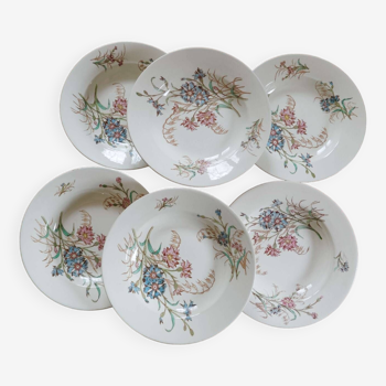 6 assiettes creuses terre de fer décor floral  polychrome Lunéville collection Bleuet