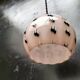 Suspension opaline