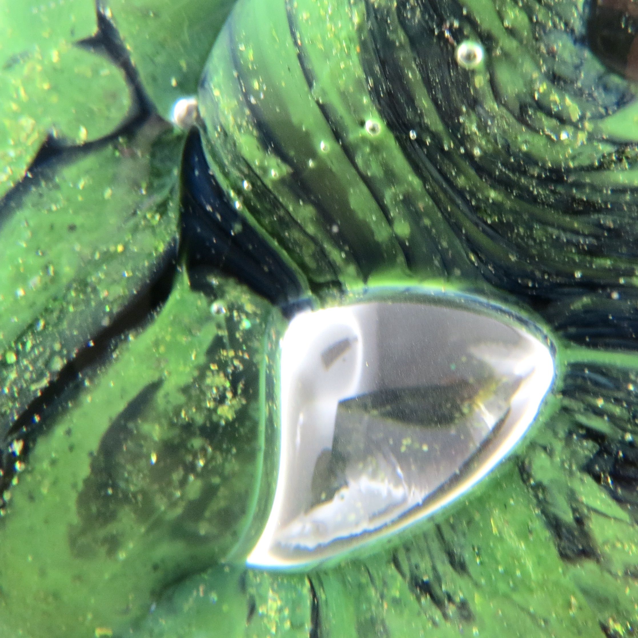 Sulfide paperweight robert pierini glass biot glass paperweight/novaro/green.