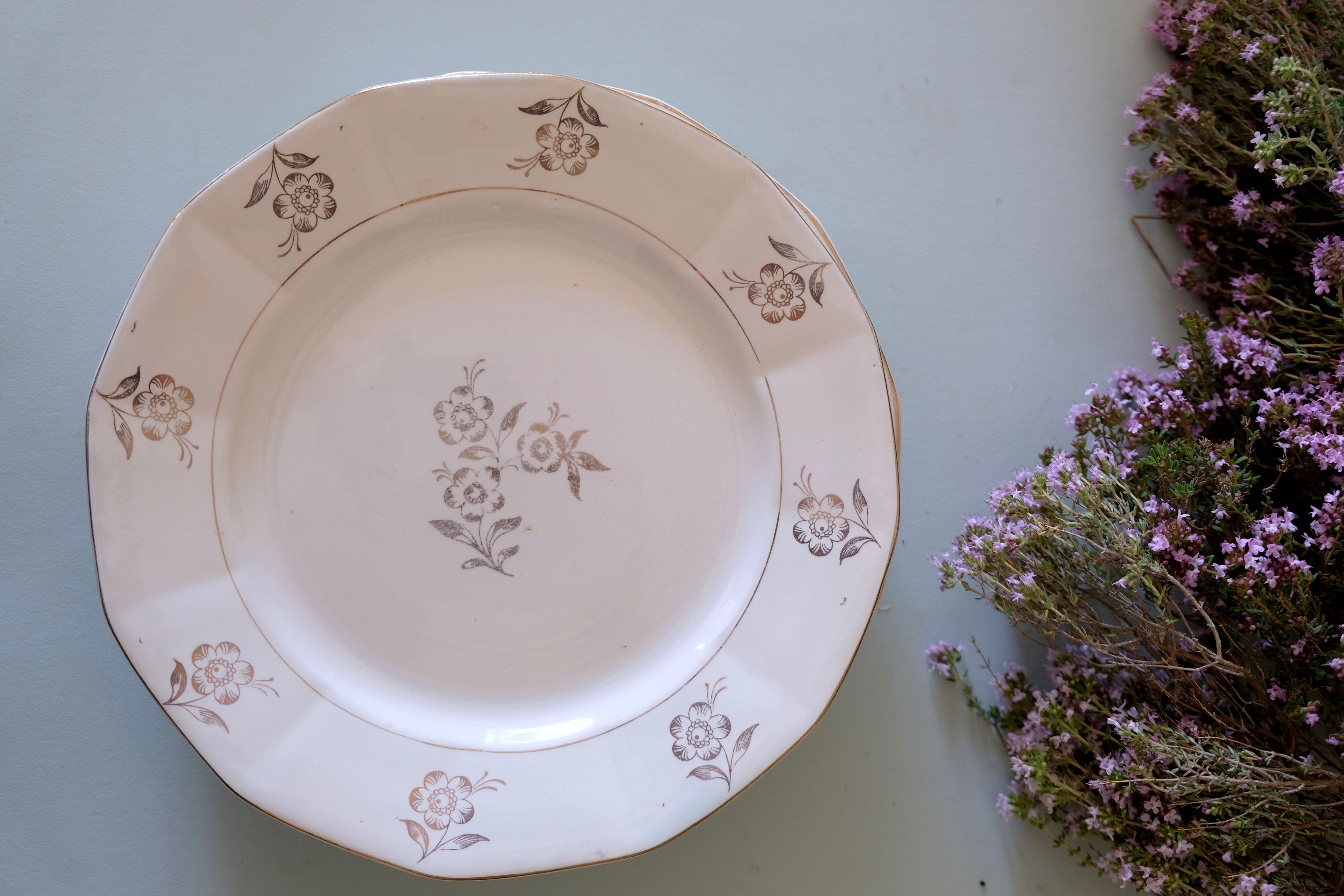 Set of opaque porcelain plates 'Raphael' from the French manufacturer Digoin-Sarreguemines