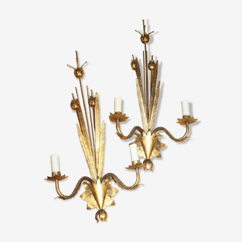 Golden floral wall lamps