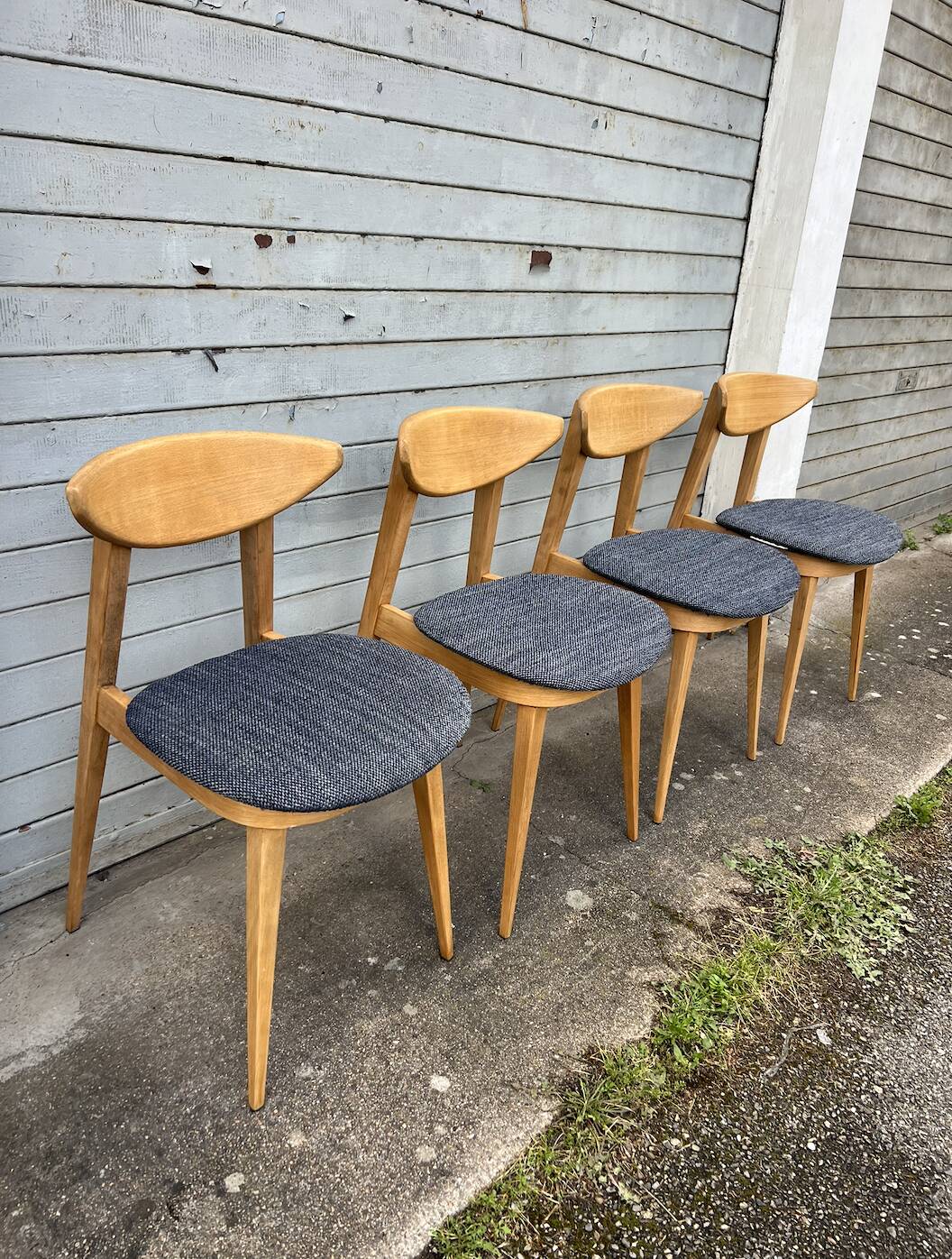 (Lot) 4 chaises Baumann Fontania (restaurées) 1960