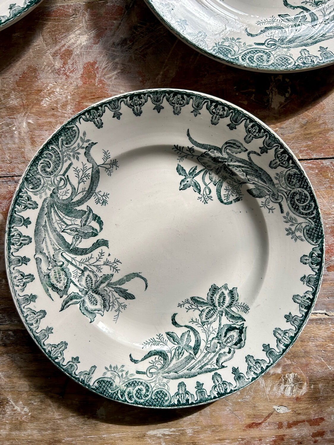 Flat plates terre de fer iris model