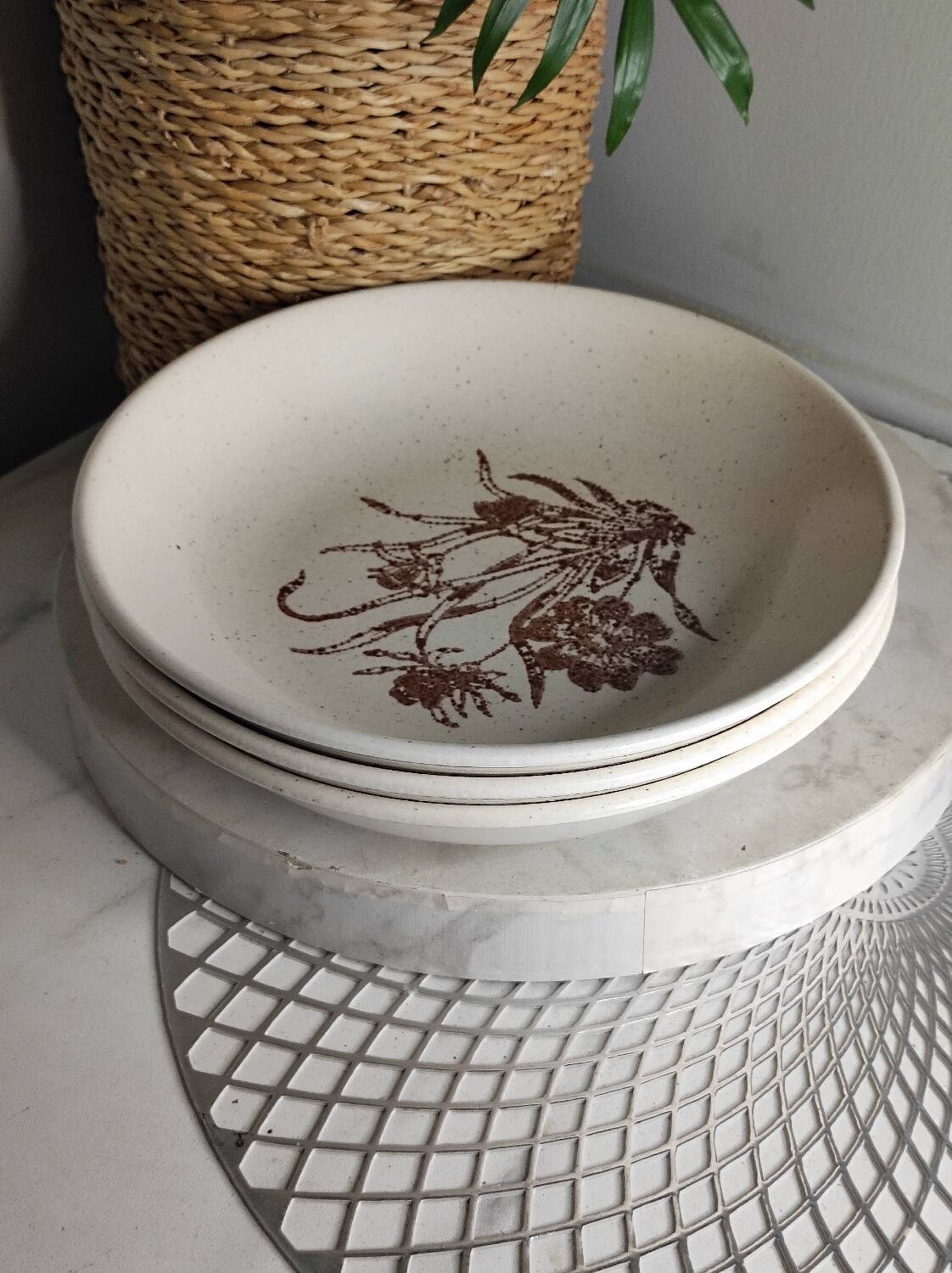 Ceramic stoneware soup plates